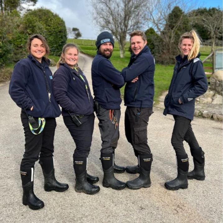 More than just a welly: How Rockfish transformed the workday at the Cornish Seal Sanctuary